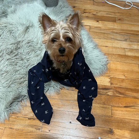 Meet your Posher, Alice - Picture 6 of 8